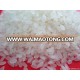 Japonica Rice, Sushi Rice High Quality, Cheap Price