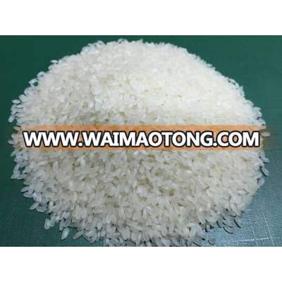 5% BROKEN CALROSE RICE WITH TOP MARKET QUALITY