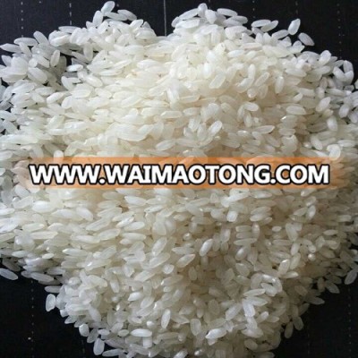 VIETNAMESE CAMOLINO RICE 5% BROKEN WITH BEST SELLING