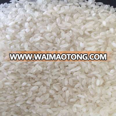 AAA GRADE QUALITY 5% BROKEN CALROSE RICE WITH 2016 NEWEST CROP