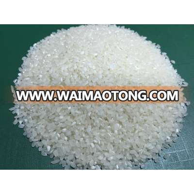 BEST GRADE VIETNAM 5% BROKEN SHORT RICE FROM TOP MARKET QUALITY