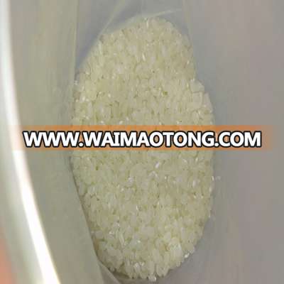 VIETNAM 5% BROKEN SHORT RICE WITH GOOD SORTEX