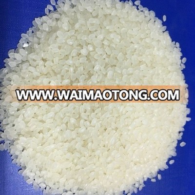 5% BROKEN JAPONICA RICE WITH WORKABLE PRICE