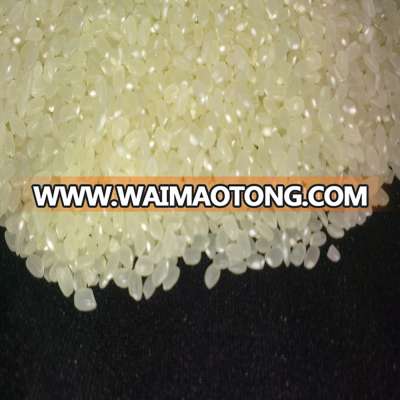 LOWEST PRICE SUSHI RICE WITH GOOD QUALITY