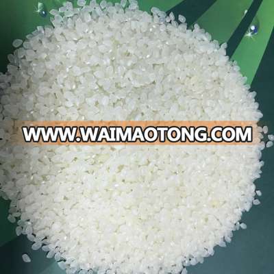 5% BROKEN JAPONICA RICE WITH NEW HARVEST