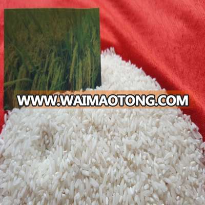 TOP QUALITY 25% BROKEN GRAIN RICE WITH JOINT VENTURE COMPANY